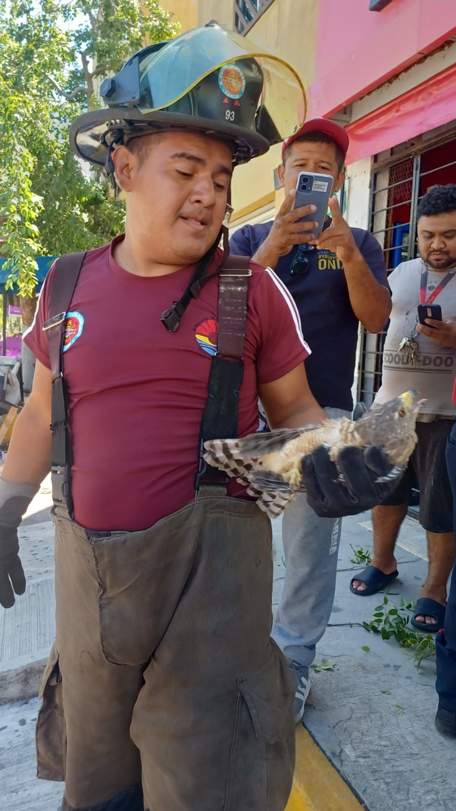 uploads/6/32/01 (2399).Jpeg